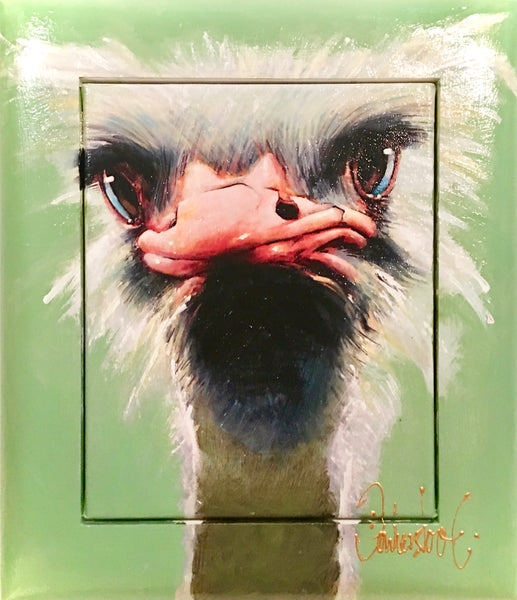Struisvogel | Peter Donkersloot 53x43 cm