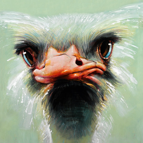 Struisvogel | Peter Donkersloot