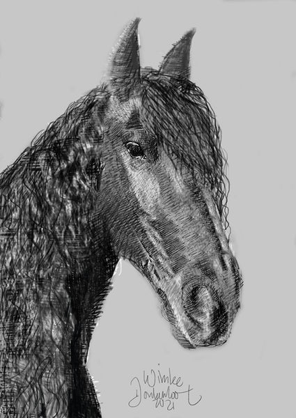Paarden Portretten in opdracht