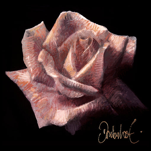 Rose rose | Pierre Donkersloot