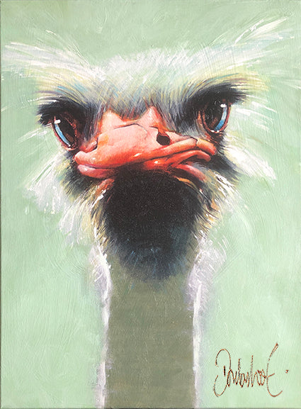 Struisvogel | Peter Donkersloot